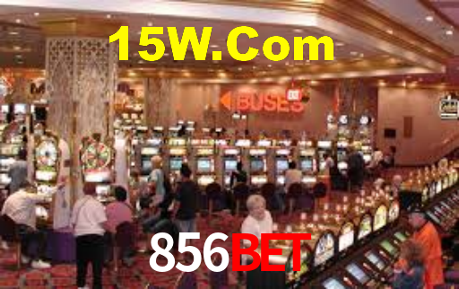 856bet