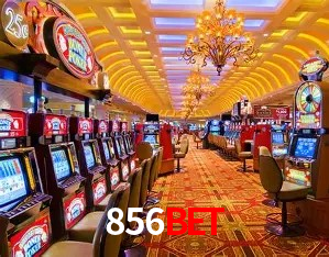 Segurança e performance na plataforma 856bet