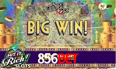 Variedade de jogos na 856bet