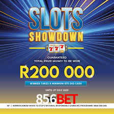 Programa VIP 856bet