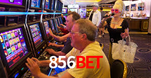856bet,856bet.com