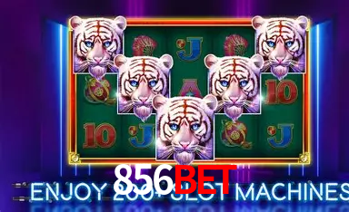 Recursos de Bônus 856bet
