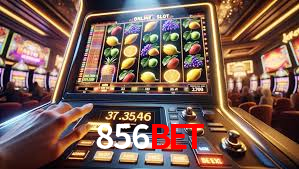 Sports Statistics 856bet